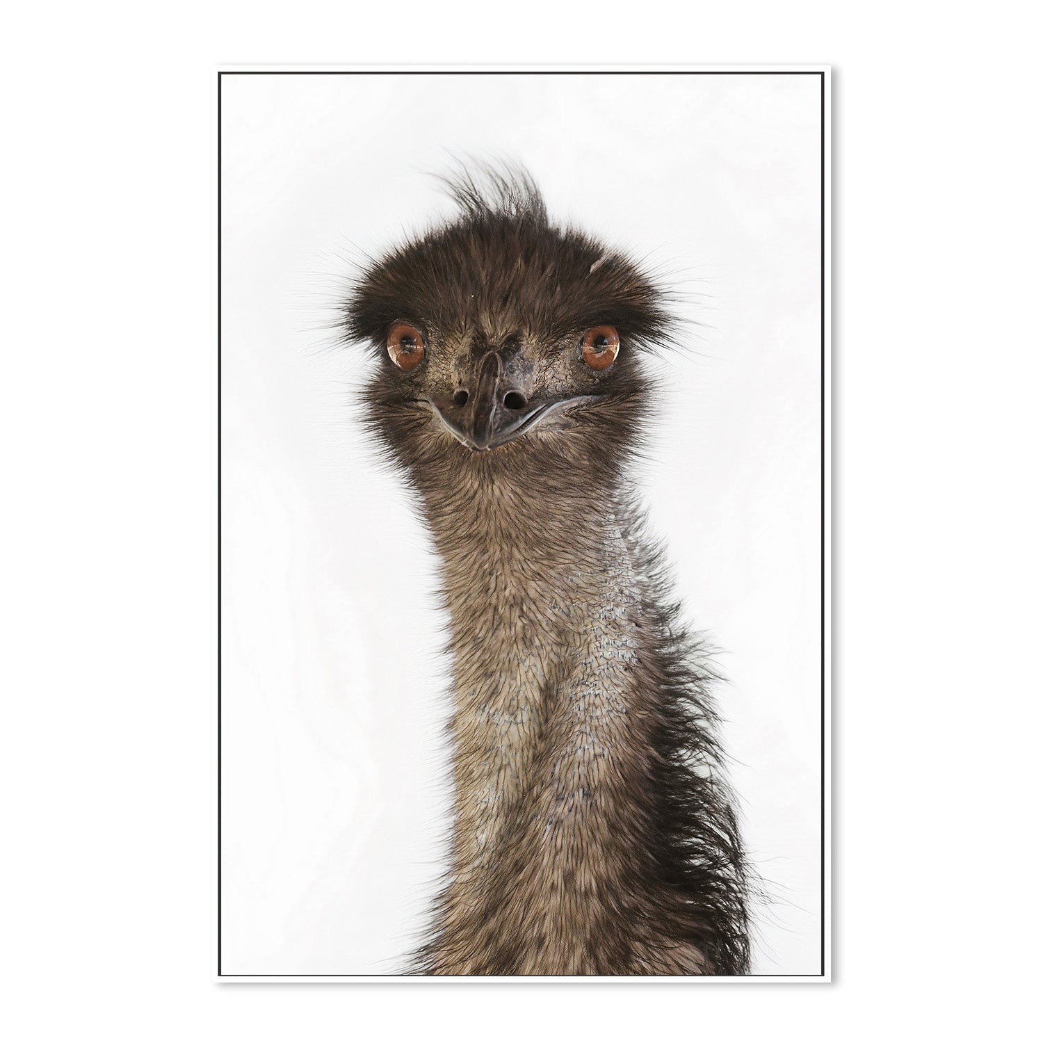 wall-art-print-canvas-poster-framed-Colin Emu , By Belinda Gerace-5