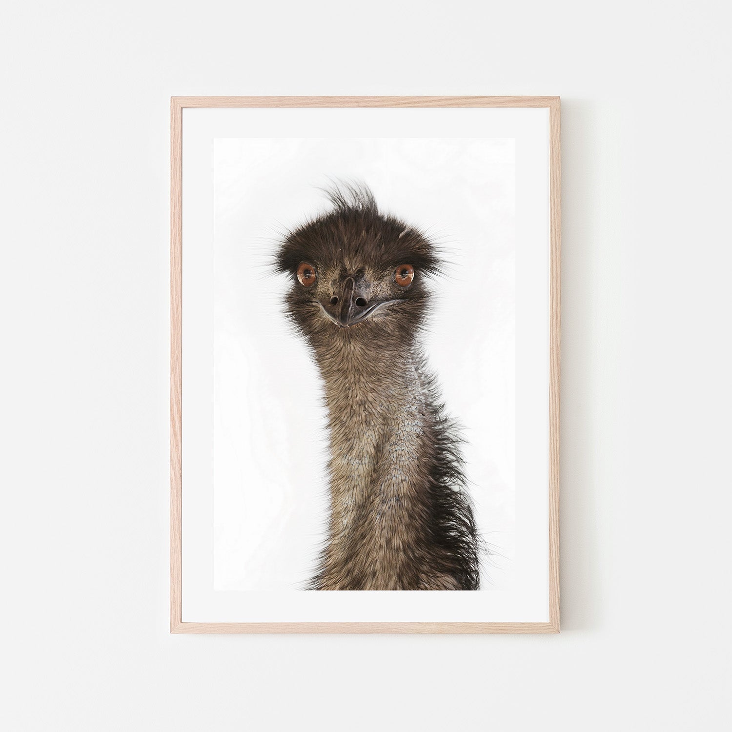 wall-art-print-canvas-poster-framed-Colin Emu , By Belinda Gerace-6