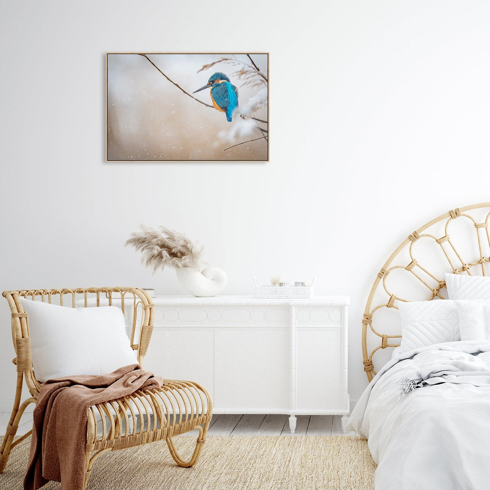 wall-art-print-canvas-poster-framed-Common Kingfisher, By Yordan Vasilev-by-Plus X Studio-Gioia Wall Art