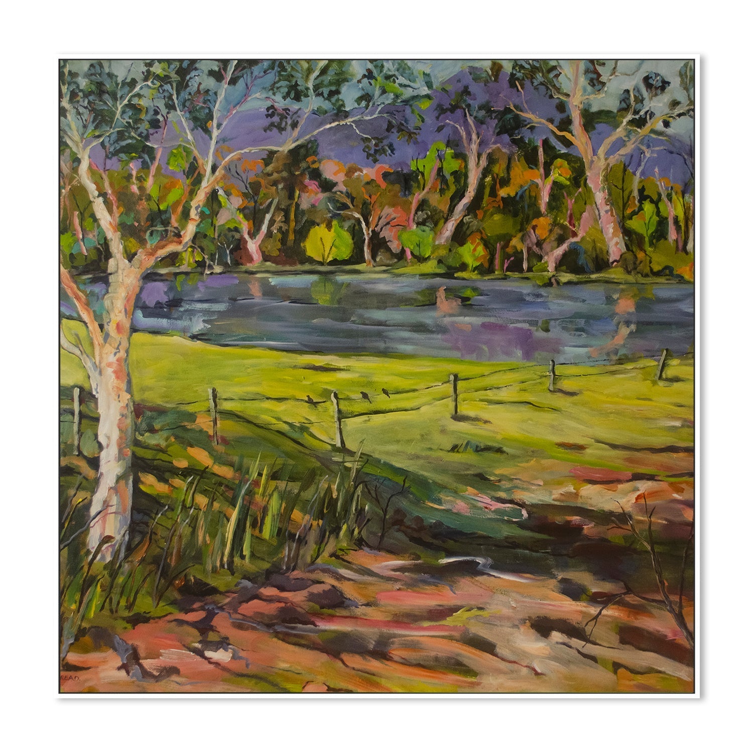 wall-art-print-canvas-poster-framed-Conversations With The Kangaroo Valley , By Christine Read-5