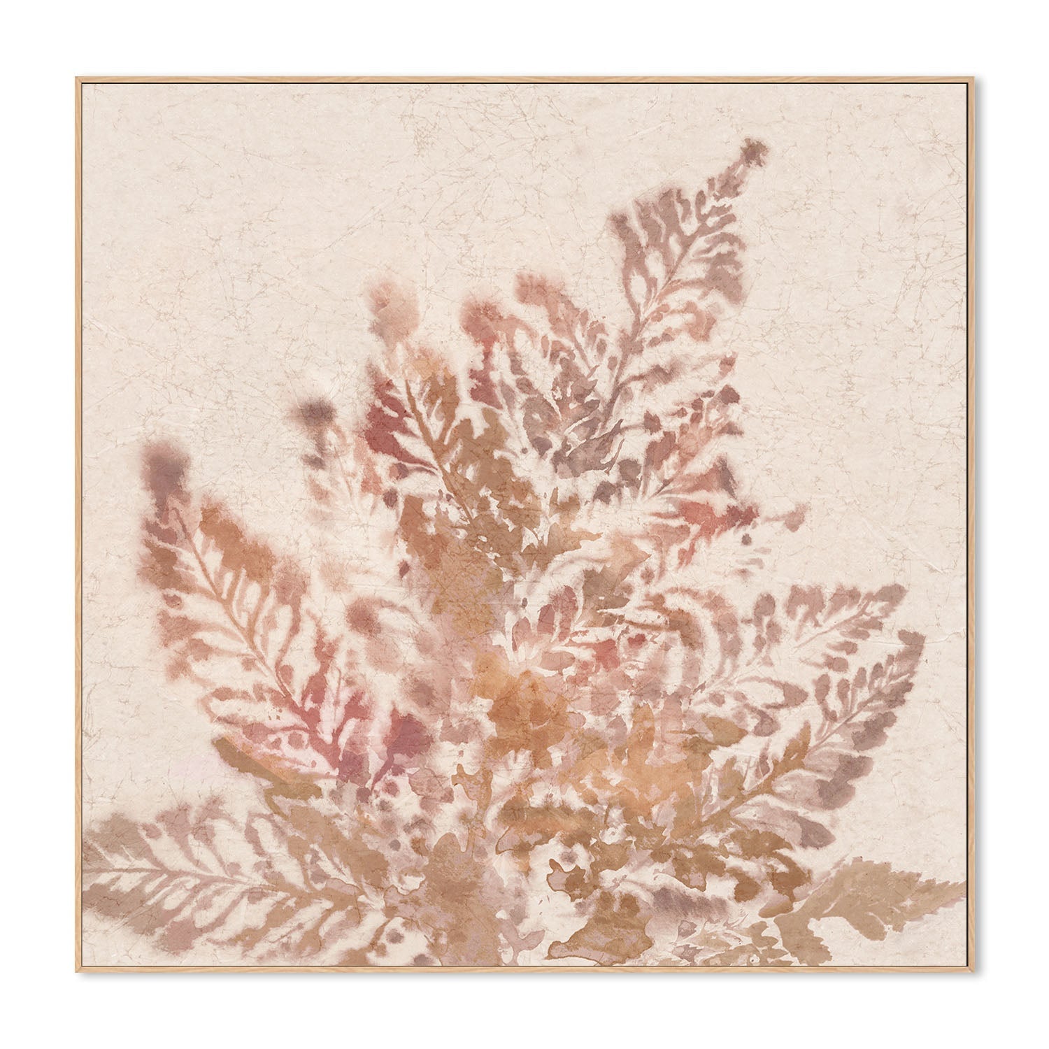 wall-art-print-canvas-poster-framed-Coral Fern, Style A , By Alex Black-4