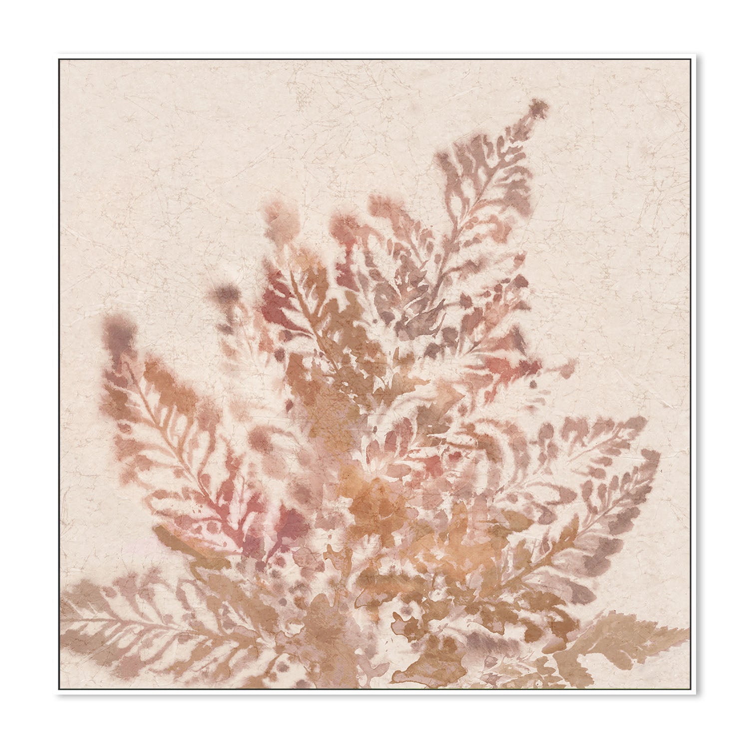 wall-art-print-canvas-poster-framed-Coral Fern, Style A , By Alex Black-5