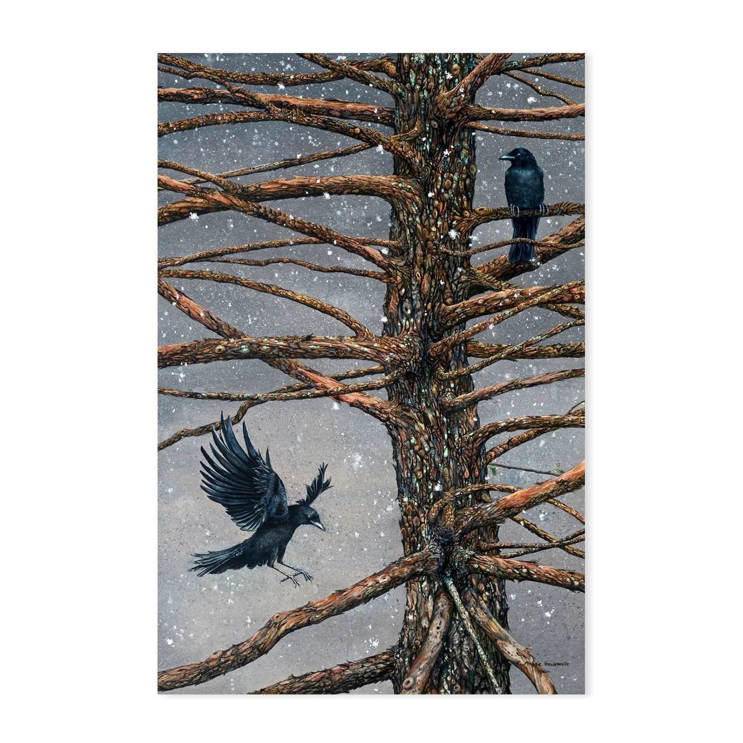 wall-art-print-canvas-poster-framed-Corvus Corvidae And The Cedar , By Maggie Vandewalle-GIOIA-WALL-ART