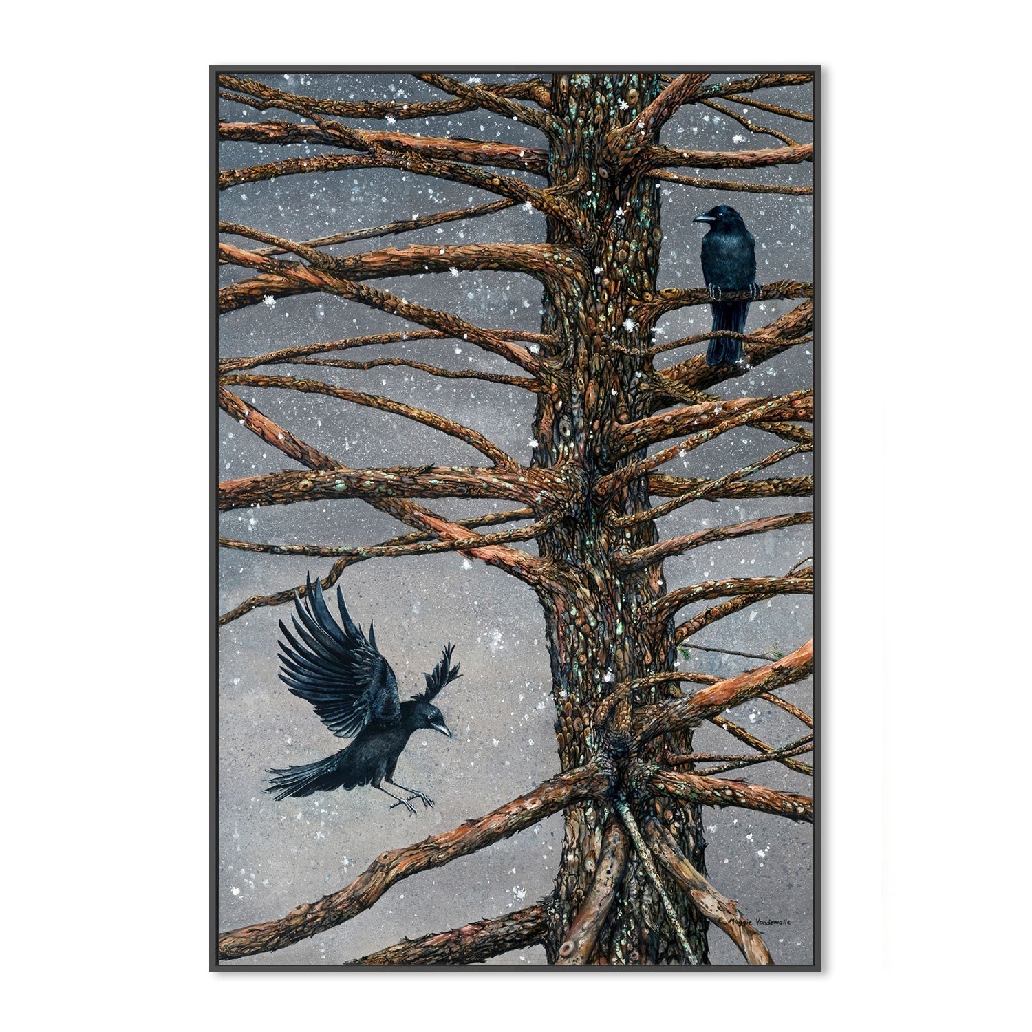 wall-art-print-canvas-poster-framed-Corvus Corvidae And The Cedar , By Maggie Vandewalle-GIOIA-WALL-ART