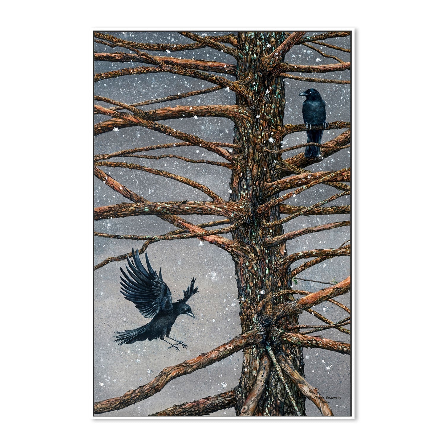 wall-art-print-canvas-poster-framed-Corvus Corvidae And The Cedar , By Maggie Vandewalle-GIOIA-WALL-ART