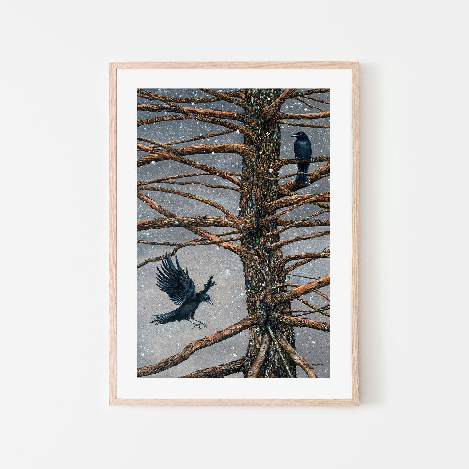 wall-art-print-canvas-poster-framed-Corvus Corvidae And The Cedar , By Maggie Vandewalle-GIOIA-WALL-ART