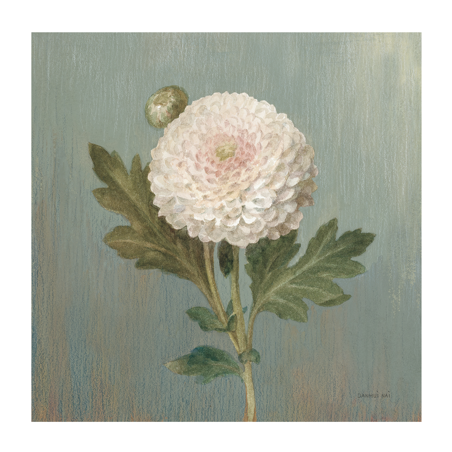 wall-art-print-canvas-poster-framed-Cottage Chrysanthemum , By Danhui Nai-1