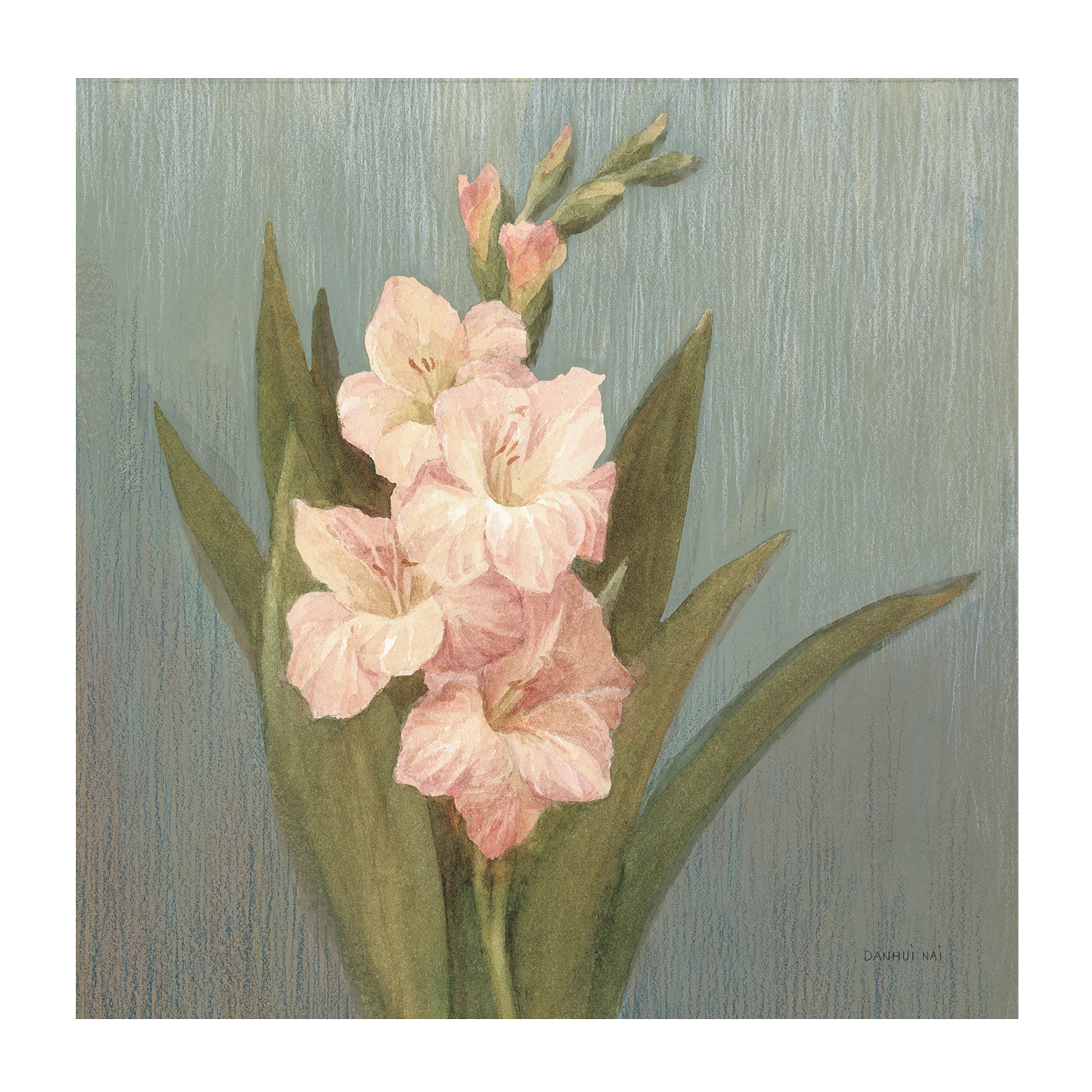 wall-art-print-canvas-poster-framed-Cottage Gladiola , By Danhui Nai-1