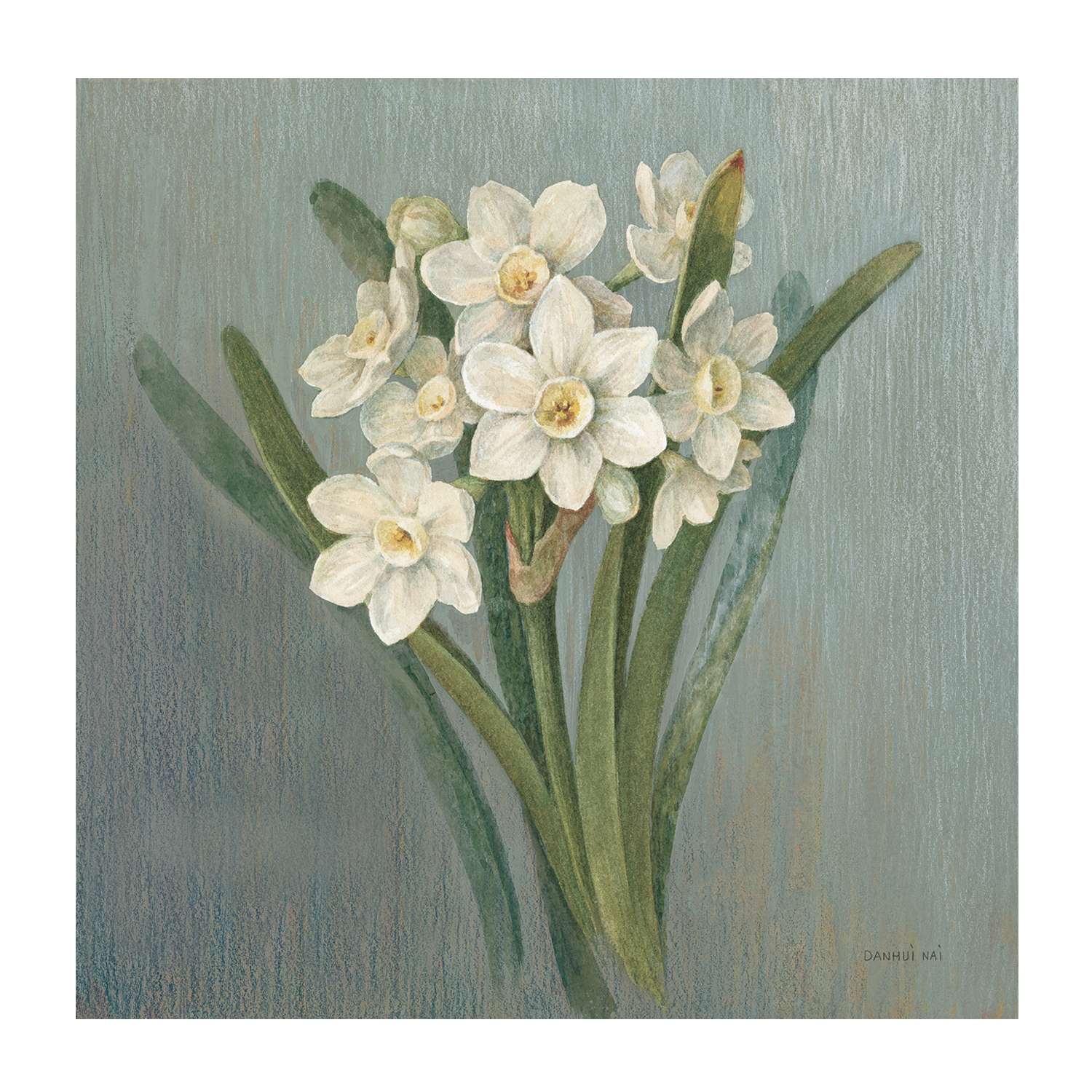 wall-art-print-canvas-poster-framed-Cottage Narcissus , By Danhui Nai-1