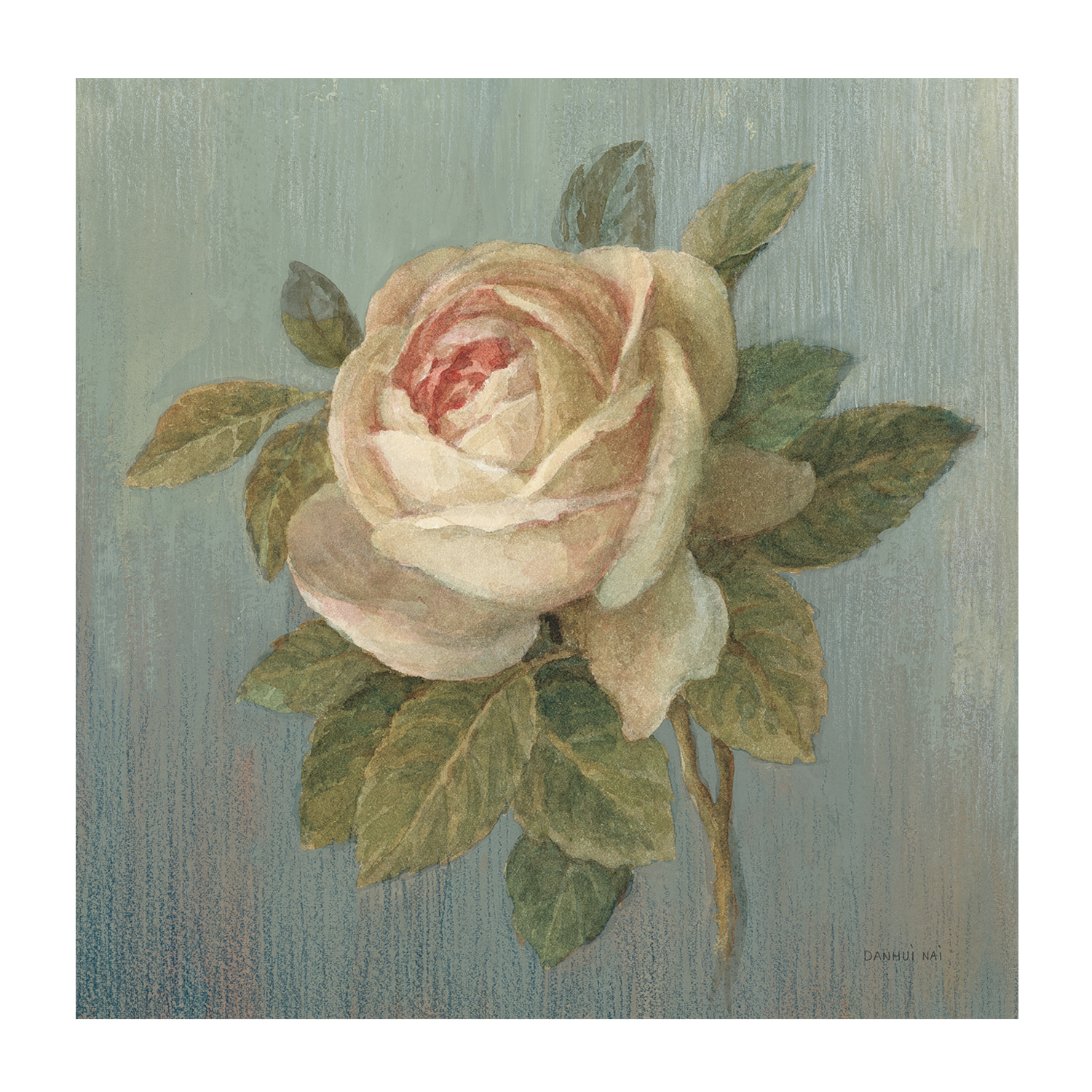 wall-art-print-canvas-poster-framed-Cottage Rose , By Danhui Nai-1