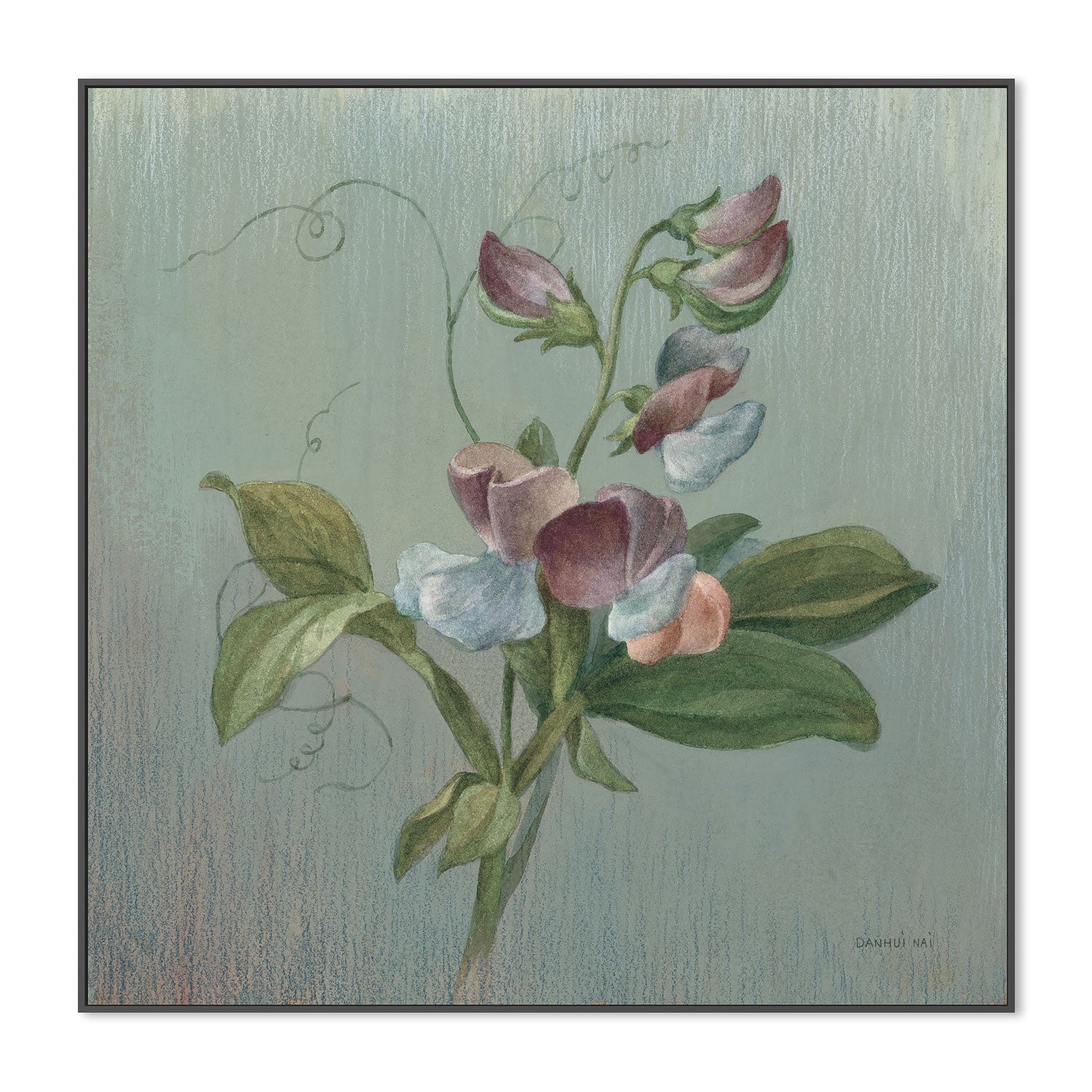 wall-art-print-canvas-poster-framed-Cottage Sweet Pea , By Danhui Nai-3