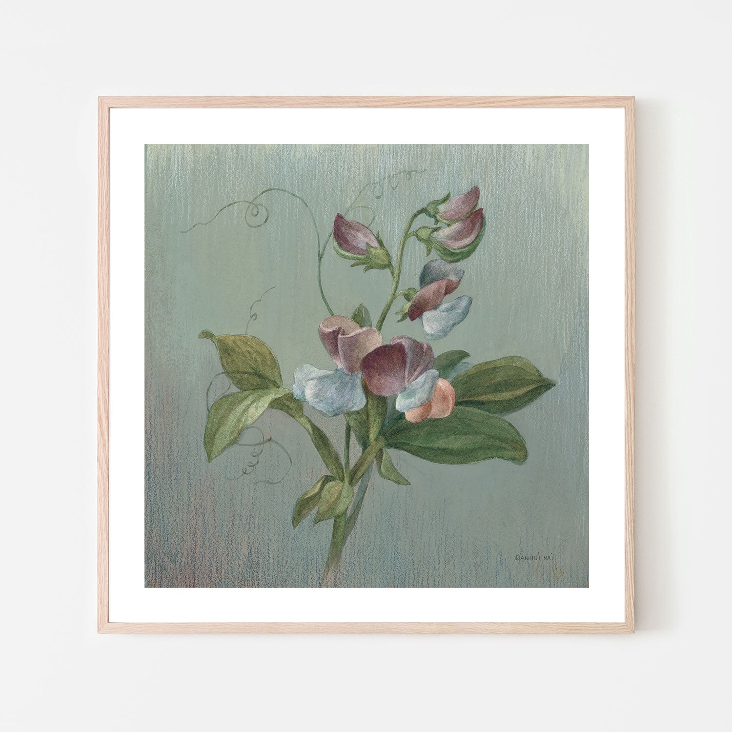 wall-art-print-canvas-poster-framed-Cottage Sweet Pea , By Danhui Nai-6