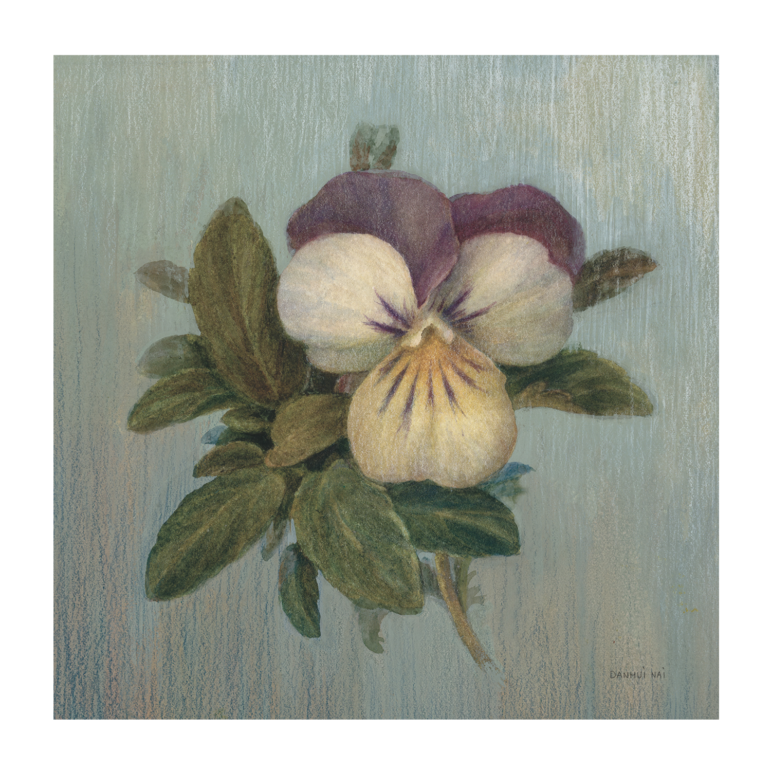 wall-art-print-canvas-poster-framed-Cottage Violet , By Danhui Nai-1