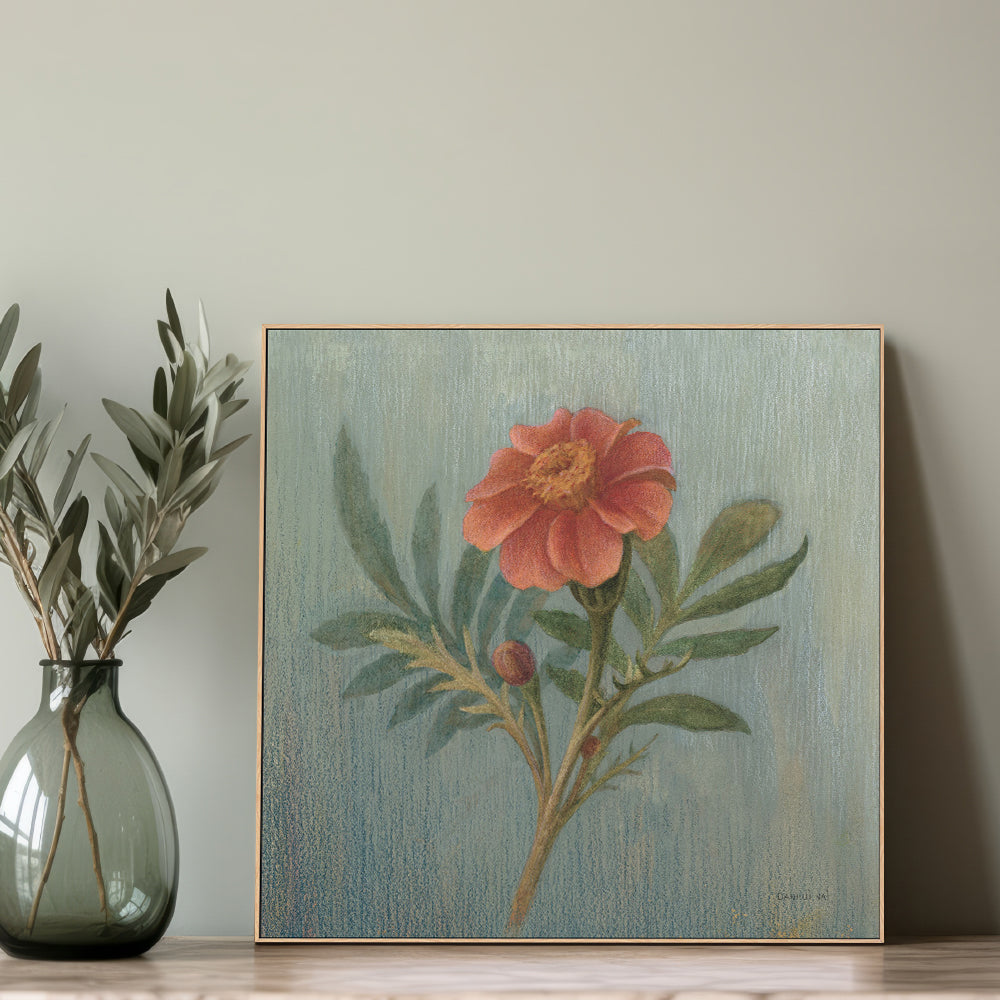 wall-art-print-canvas-poster-framed-Cottage Zinnia , By Danhui Nai-2