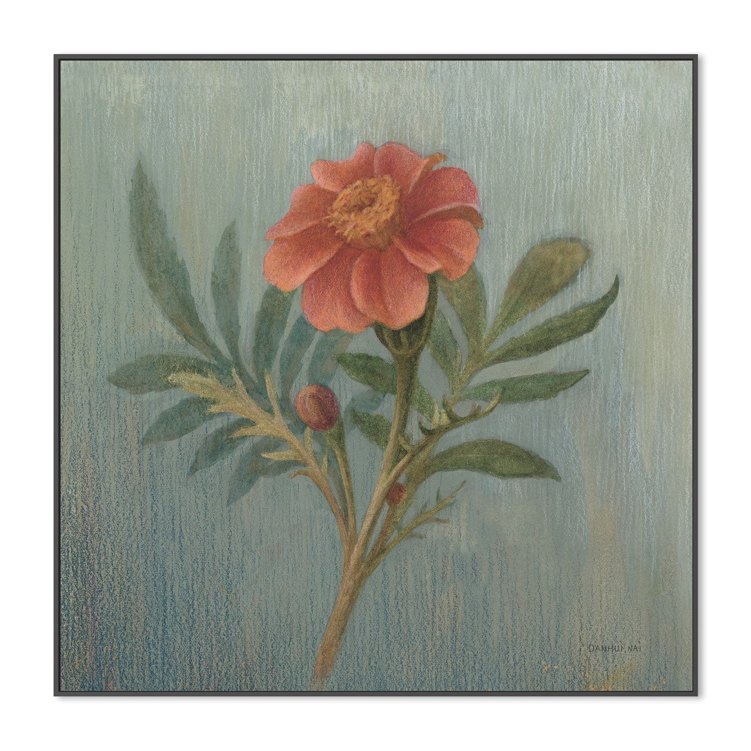 wall-art-print-canvas-poster-framed-Cottage Zinnia , By Danhui Nai-3