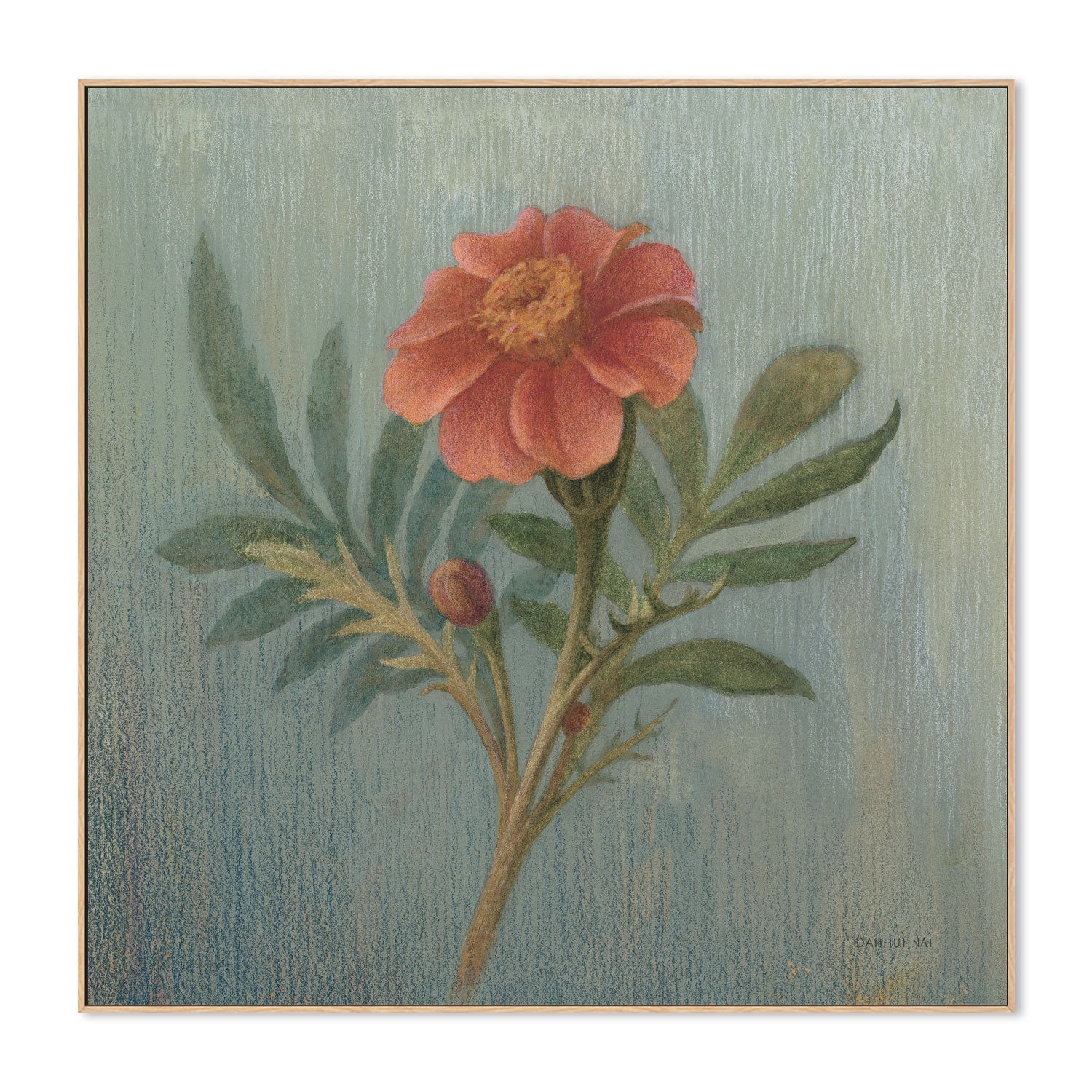 wall-art-print-canvas-poster-framed-Cottage Zinnia , By Danhui Nai-4