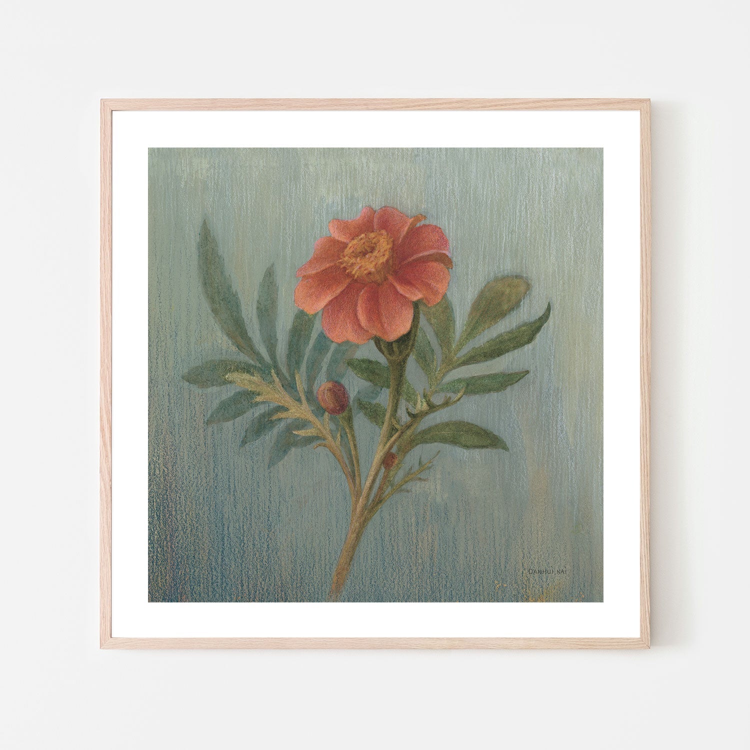 wall-art-print-canvas-poster-framed-Cottage Zinnia , By Danhui Nai-6