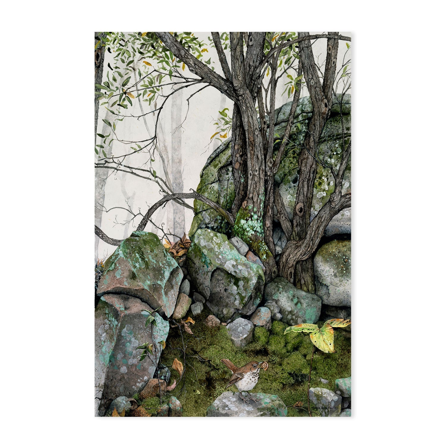wall-art-print-canvas-poster-framed-Crannies , By Maggie Vandewalle-GIOIA-WALL-ART