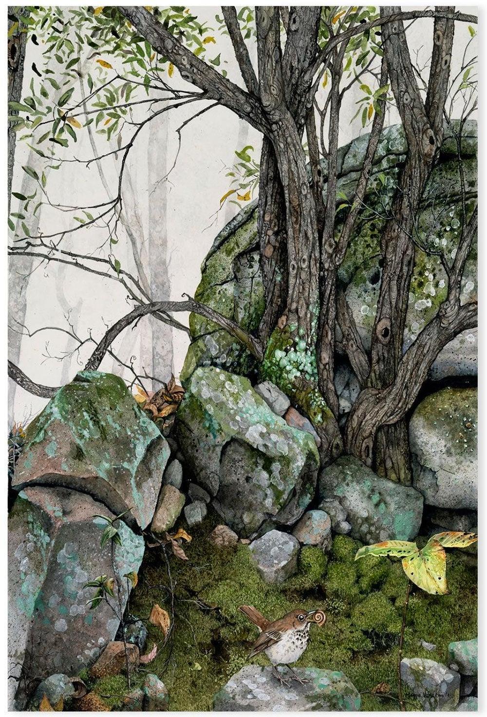 wall-art-print-canvas-poster-framed-Crannies , By Maggie Vandewalle-GIOIA-WALL-ART