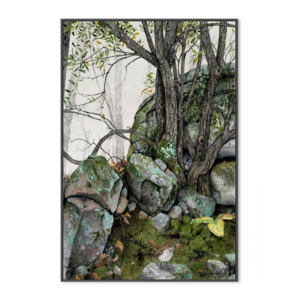 wall-art-print-canvas-poster-framed-Crannies , By Maggie Vandewalle-GIOIA-WALL-ART