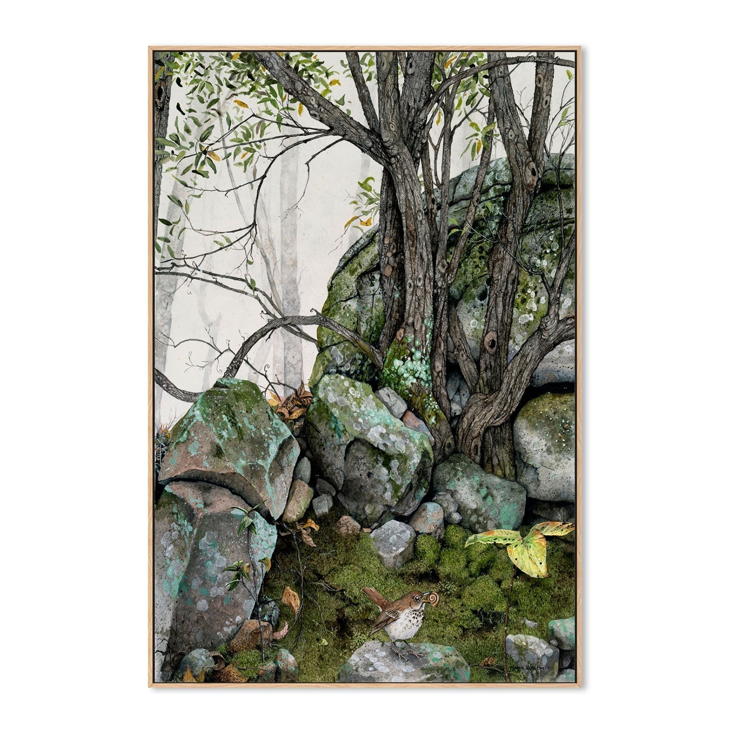 wall-art-print-canvas-poster-framed-Crannies , By Maggie Vandewalle-GIOIA-WALL-ART