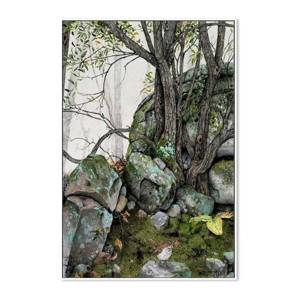 wall-art-print-canvas-poster-framed-Crannies , By Maggie Vandewalle-GIOIA-WALL-ART