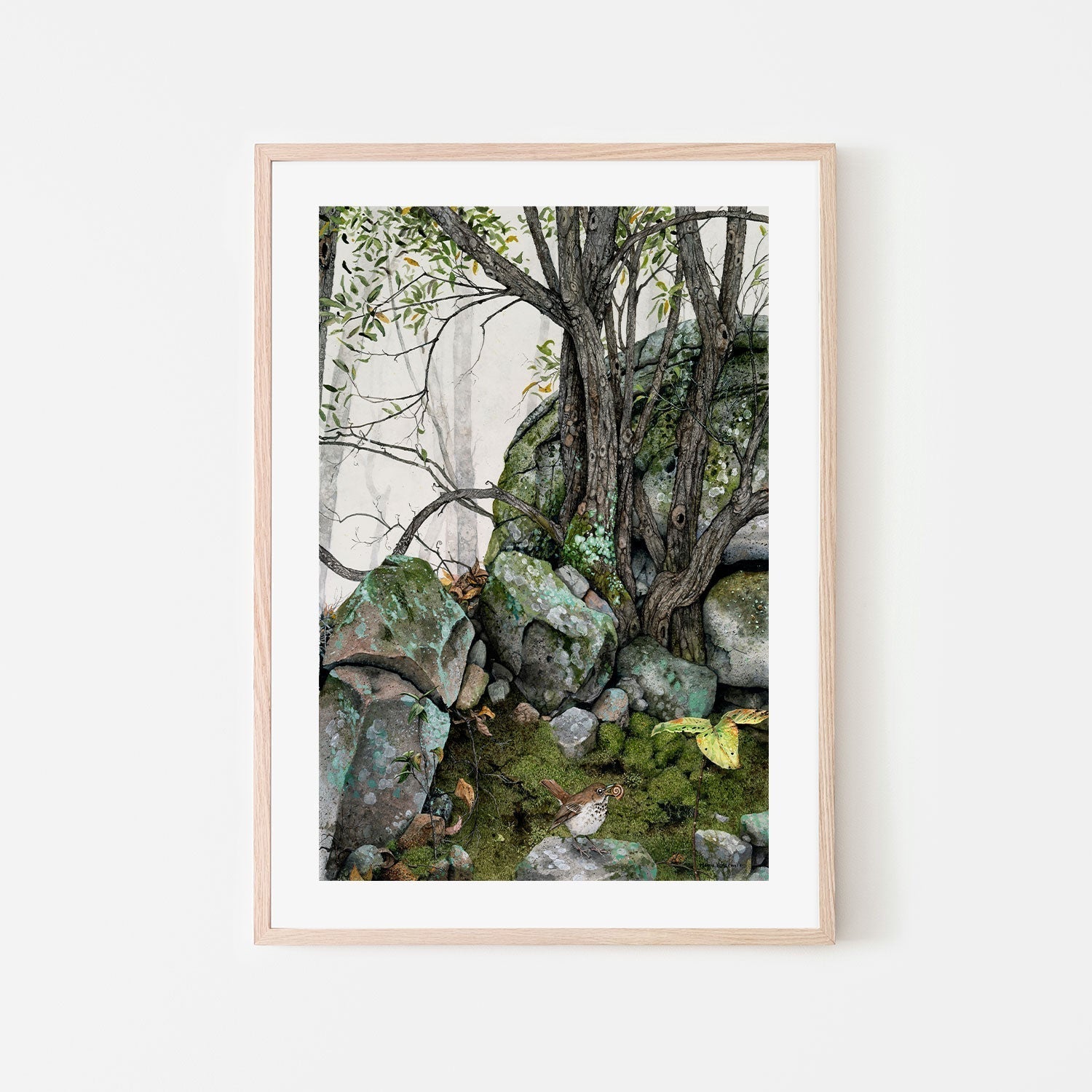 wall-art-print-canvas-poster-framed-Crannies , By Maggie Vandewalle-GIOIA-WALL-ART