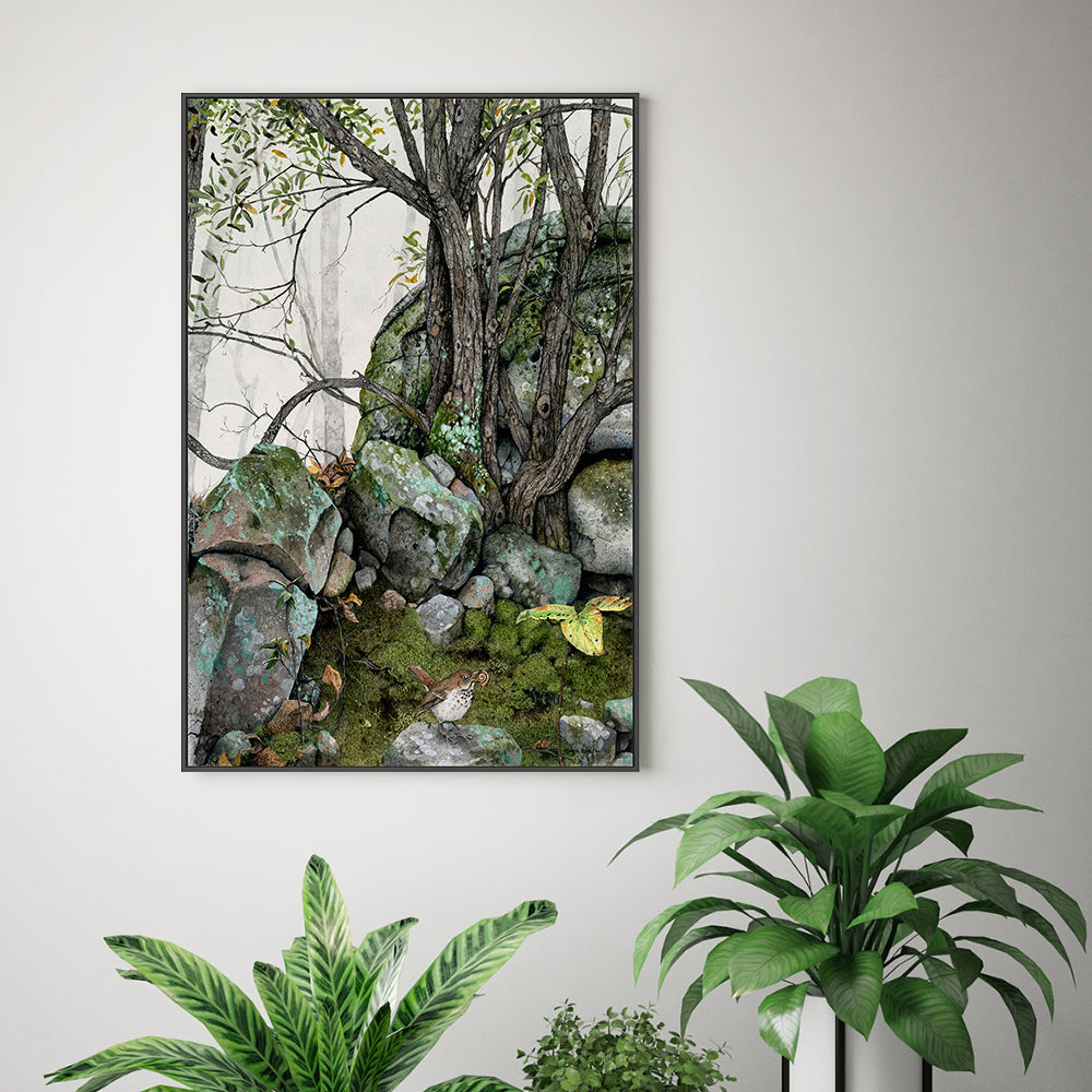 wall-art-print-canvas-poster-framed-Crannies , By Maggie Vandewalle-GIOIA-WALL-ART