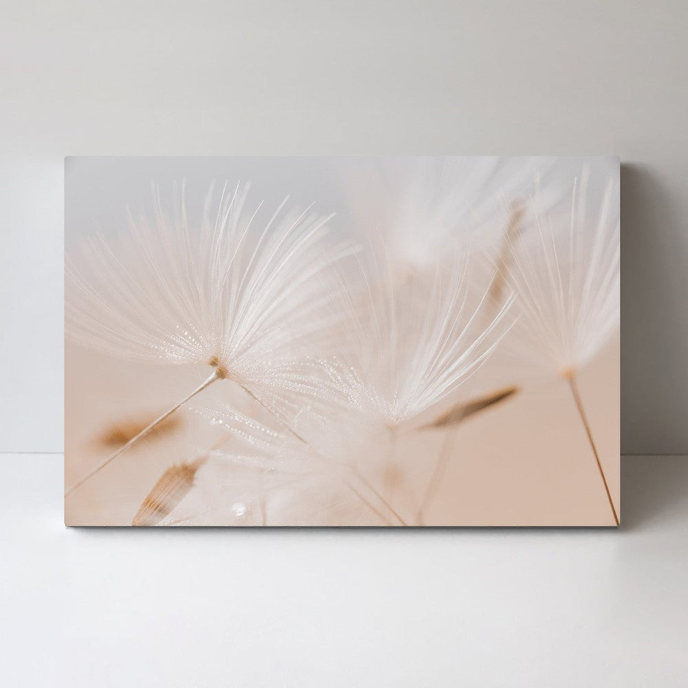 wall-art-print-canvas-poster-framed-Creamy Darling-by-Gioia Wall Art-Gioia Wall Art