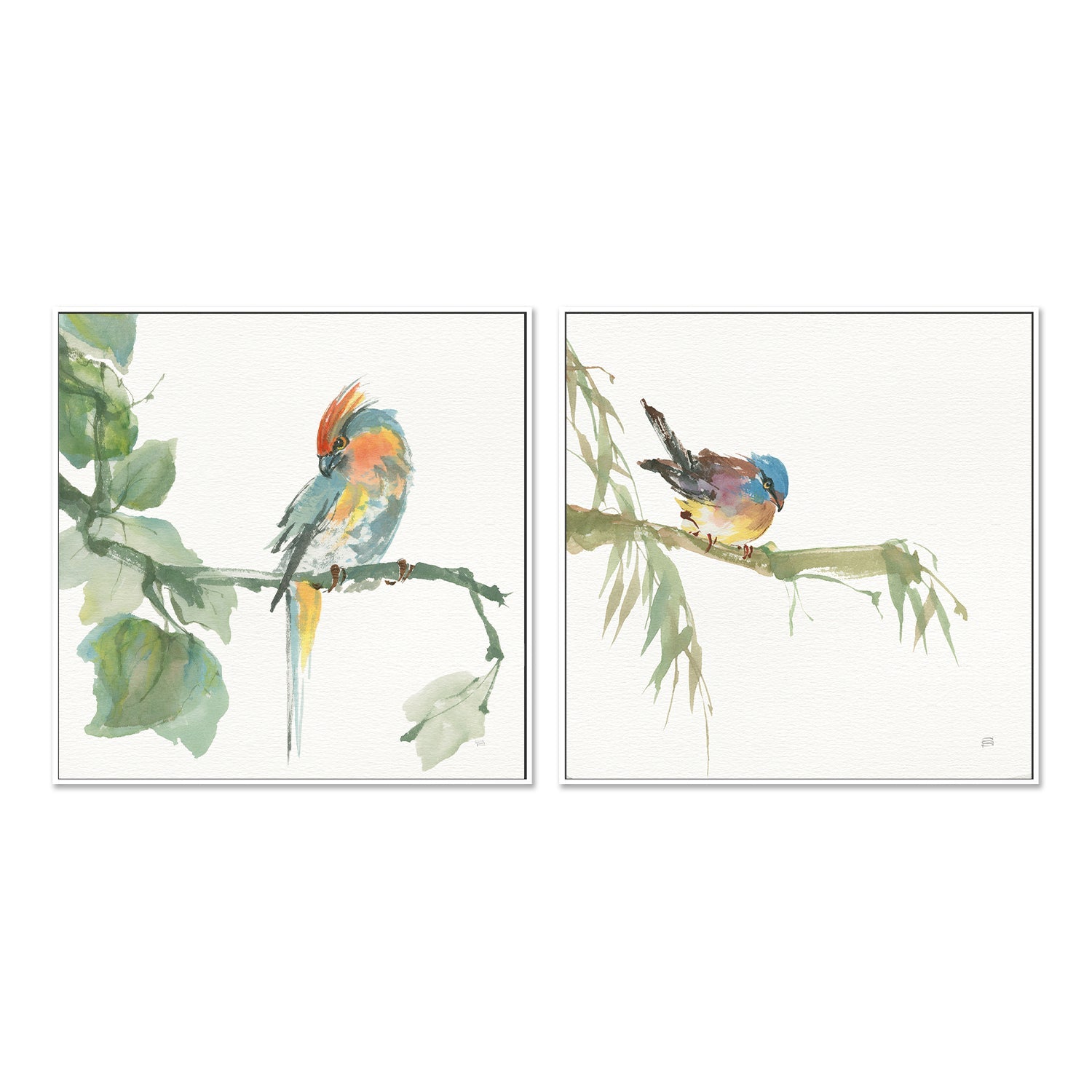 wall-art-print-canvas-poster-framed-Crested Cockatoo And Finch, Set Of 2 , By Chris Paschke-GIOIA-WALL-ART