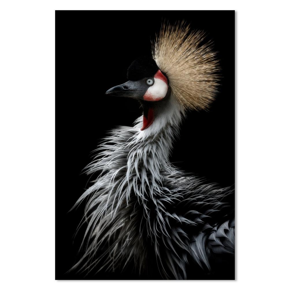 wall-art-print-canvas-poster-framed-Crowned Crane'S Portrait, By Eiji Itoyama-by-Plus X Studio-Gioia Wall Art