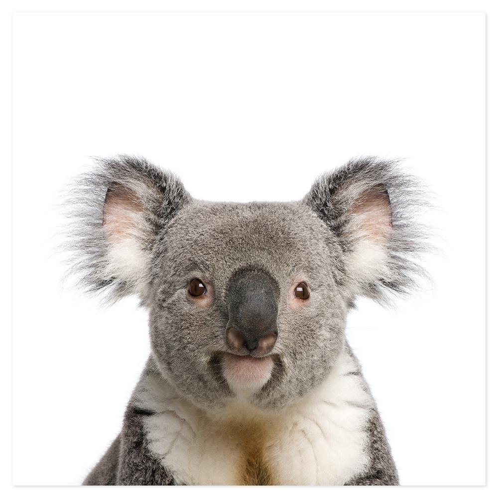 wall-art-print-canvas-poster-framed-Cute Koala-by-Gioia Wall Art-Gioia Wall Art