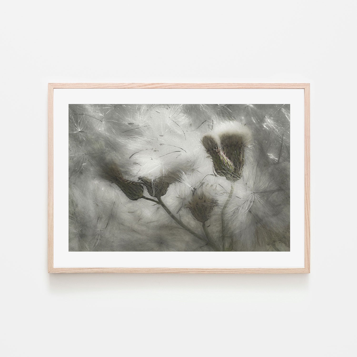 wall-art-print-canvas-poster-framed-Dandelions In The Wind , By Gilbert Claes-GIOIA-WALL-ART