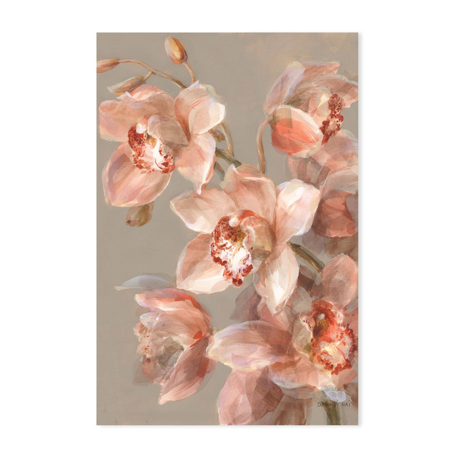 wall-art-print-canvas-poster-framed-Delicate Orchid, Style A-by-Danhui Nai-Gioia Wall Art