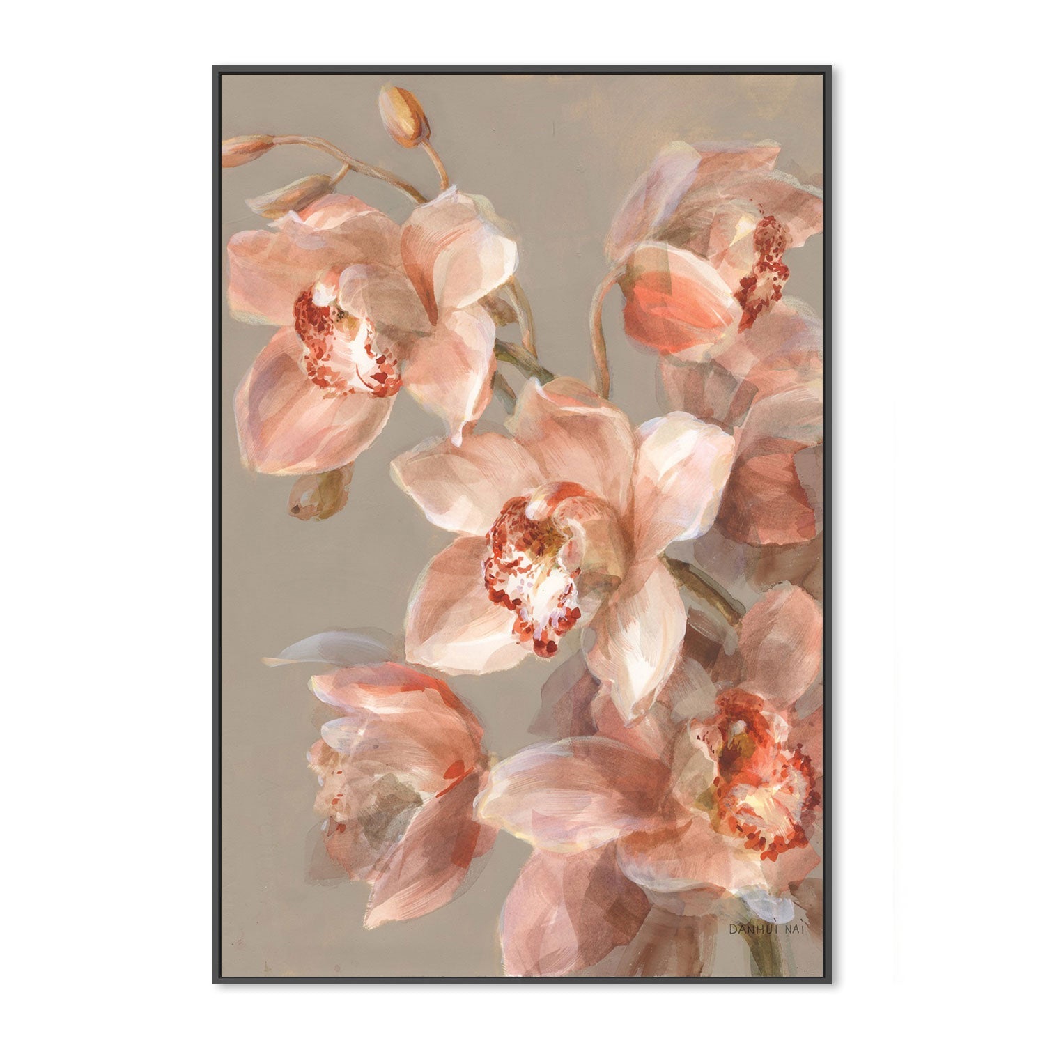 wall-art-print-canvas-poster-framed-Delicate Orchid, Style A-by-Danhui Nai-Gioia Wall Art