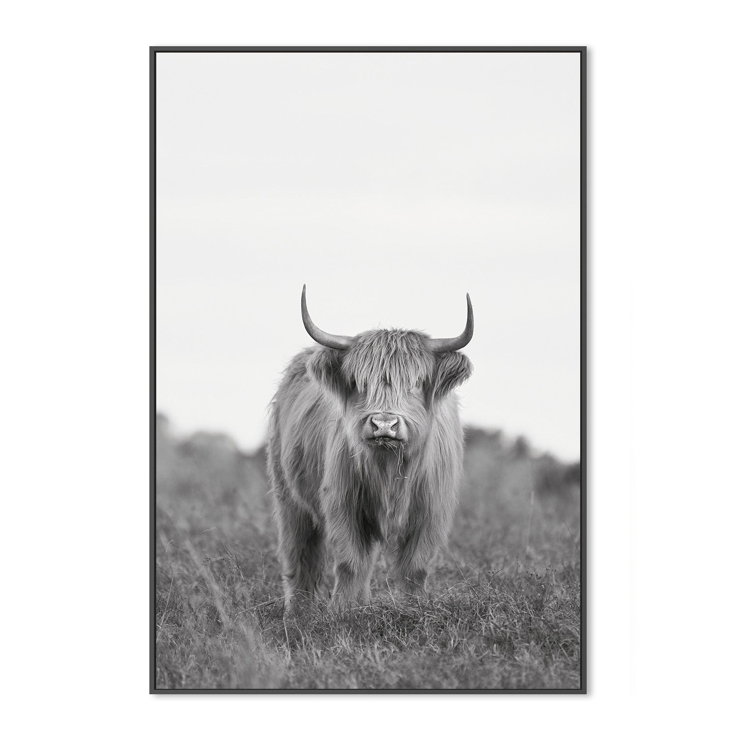 wall-art-print-canvas-poster-framed-Dixie, Style A , By Belinda Gerace-3