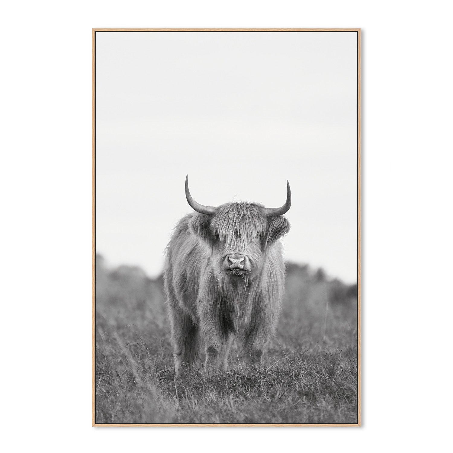 wall-art-print-canvas-poster-framed-Dixie, Style A , By Belinda Gerace-4