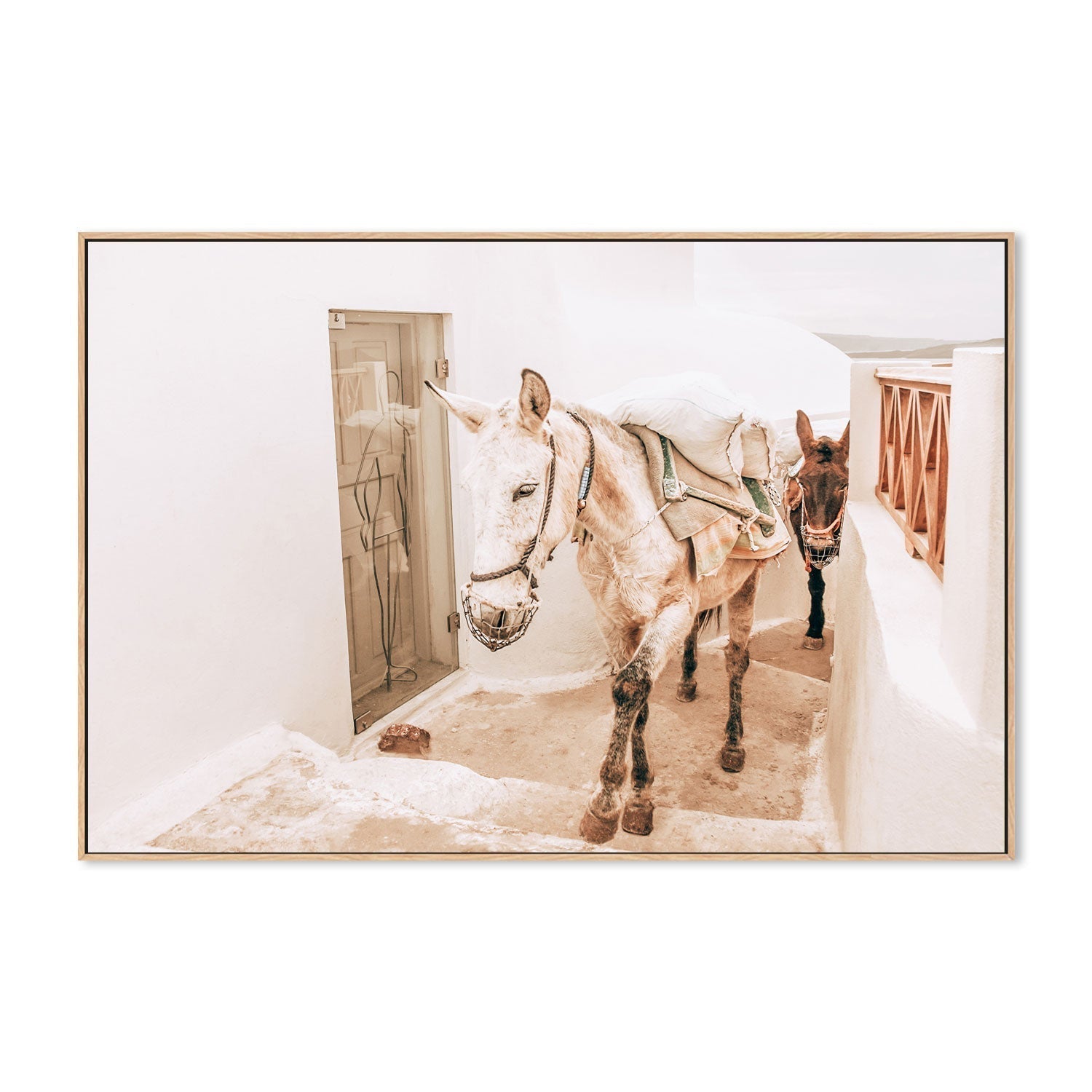 wall-art-print-canvas-poster-framed-Donkeys on old stone stairs in Santorini-by-Gioia Wall Art-Gioia Wall Art
