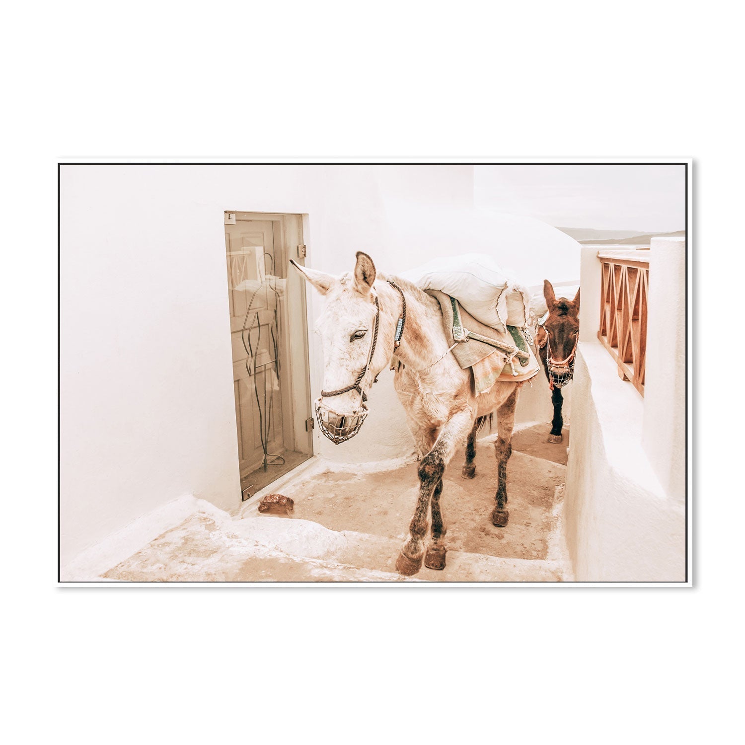wall-art-print-canvas-poster-framed-Donkeys on old stone stairs in Santorini-by-Gioia Wall Art-Gioia Wall Art