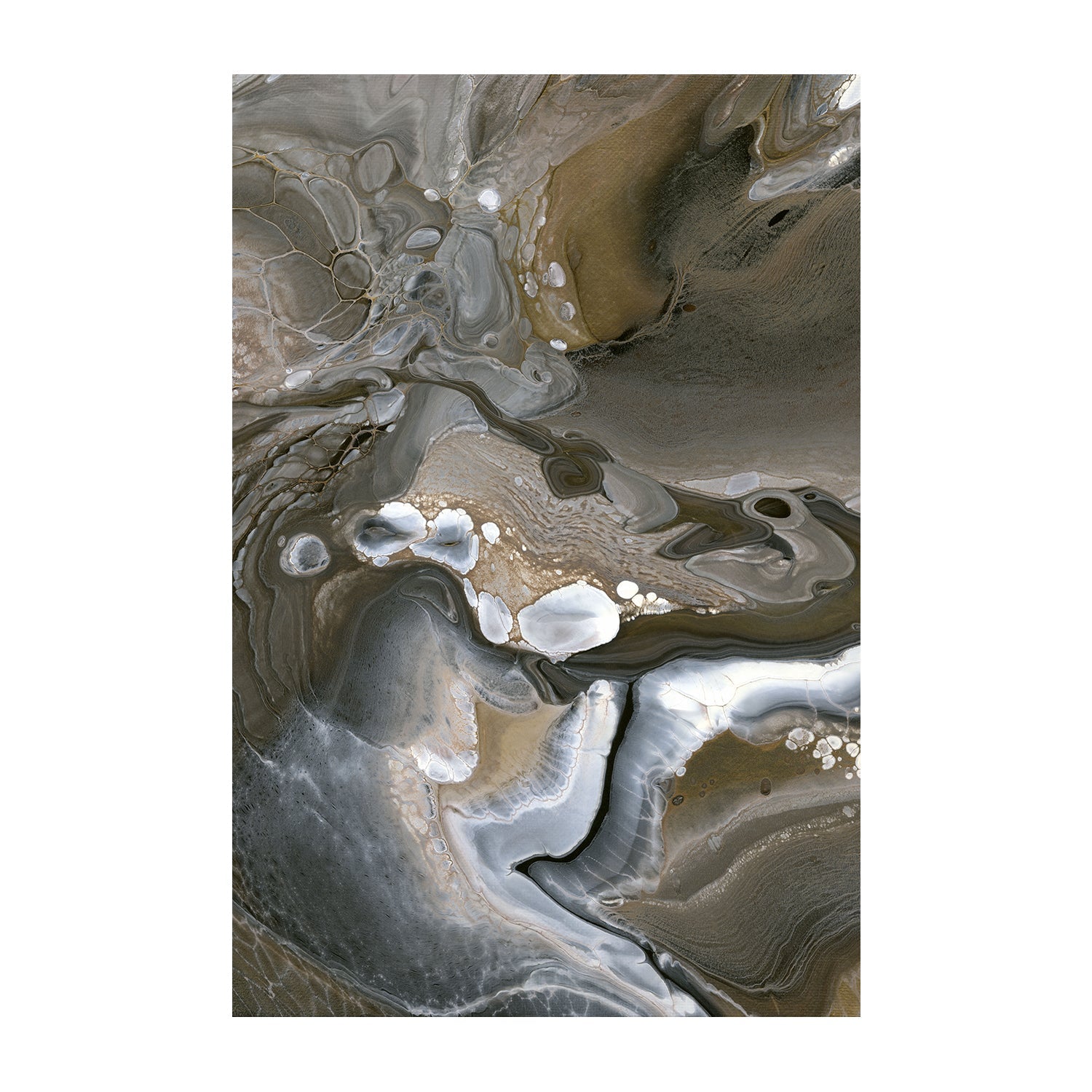 wall-art-print-canvas-poster-framed-Down To Earth , Style A, By Cathy Anderson , By Cathy Anderson-1