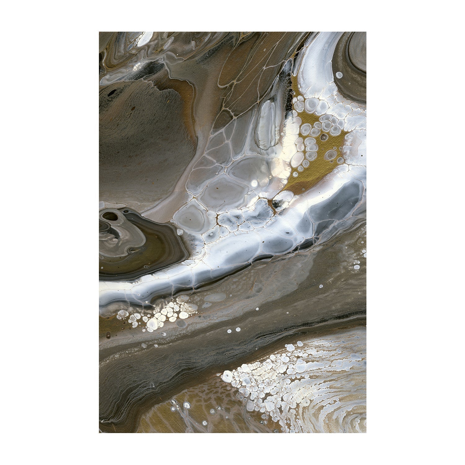 wall-art-print-canvas-poster-framed-Down To Earth , Style B, By Cathy Anderson , By Cathy Anderson-1