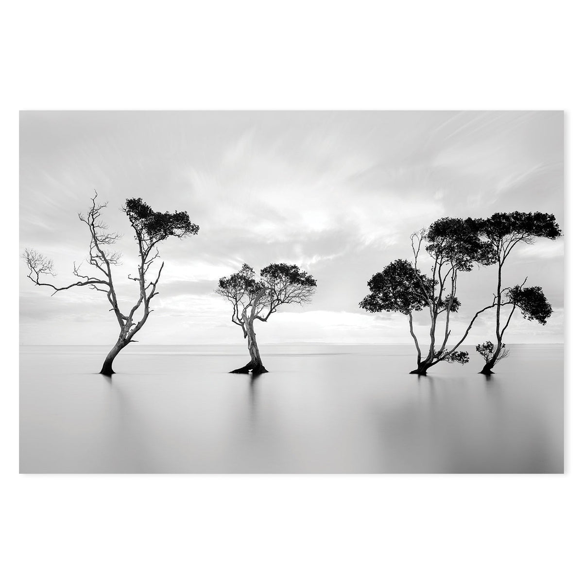 wall-art-print-canvas-poster-framed-Drowning Not Waving, by Steven Fudge-by-Plus X Studio-Gioia Wall Art