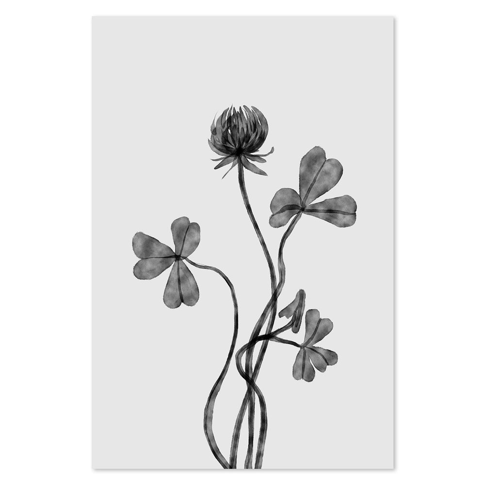 wall-art-print-canvas-poster-framed-Dutch Clover , By Dan Hobday-by-Dan Hobday-Gioia Wall Art