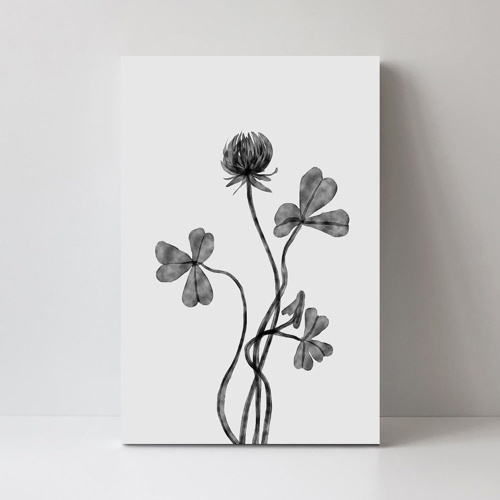 wall-art-print-canvas-poster-framed-Dutch Clover , By Dan Hobday-by-Dan Hobday-Gioia Wall Art