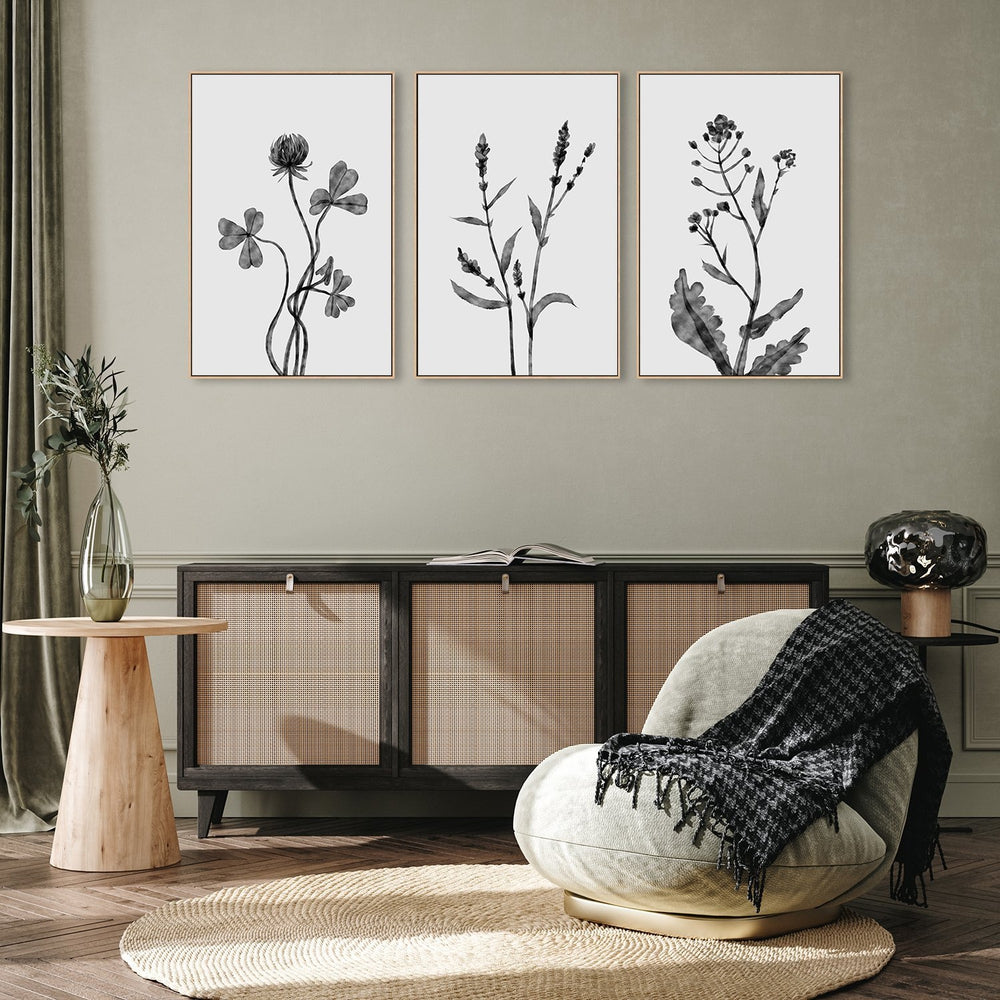 wall-art-print-canvas-poster-framed-Dutchclover, Orache And Shephards Purse , Set Of 3 , By Dan Hobday-by-Dan Hobday-Gioia Wall Art