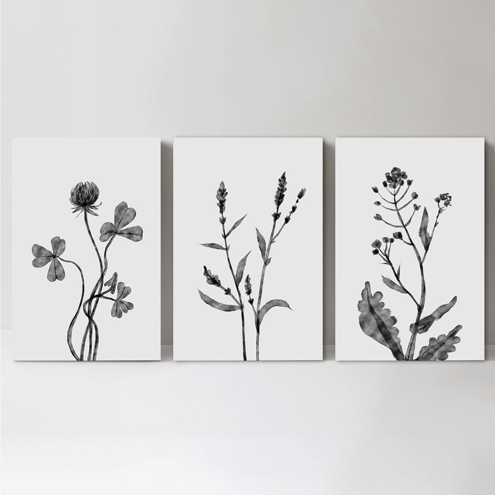 wall-art-print-canvas-poster-framed-Dutchclover, Orache And Shephards Purse , Set Of 3 , By Dan Hobday-by-Dan Hobday-Gioia Wall Art