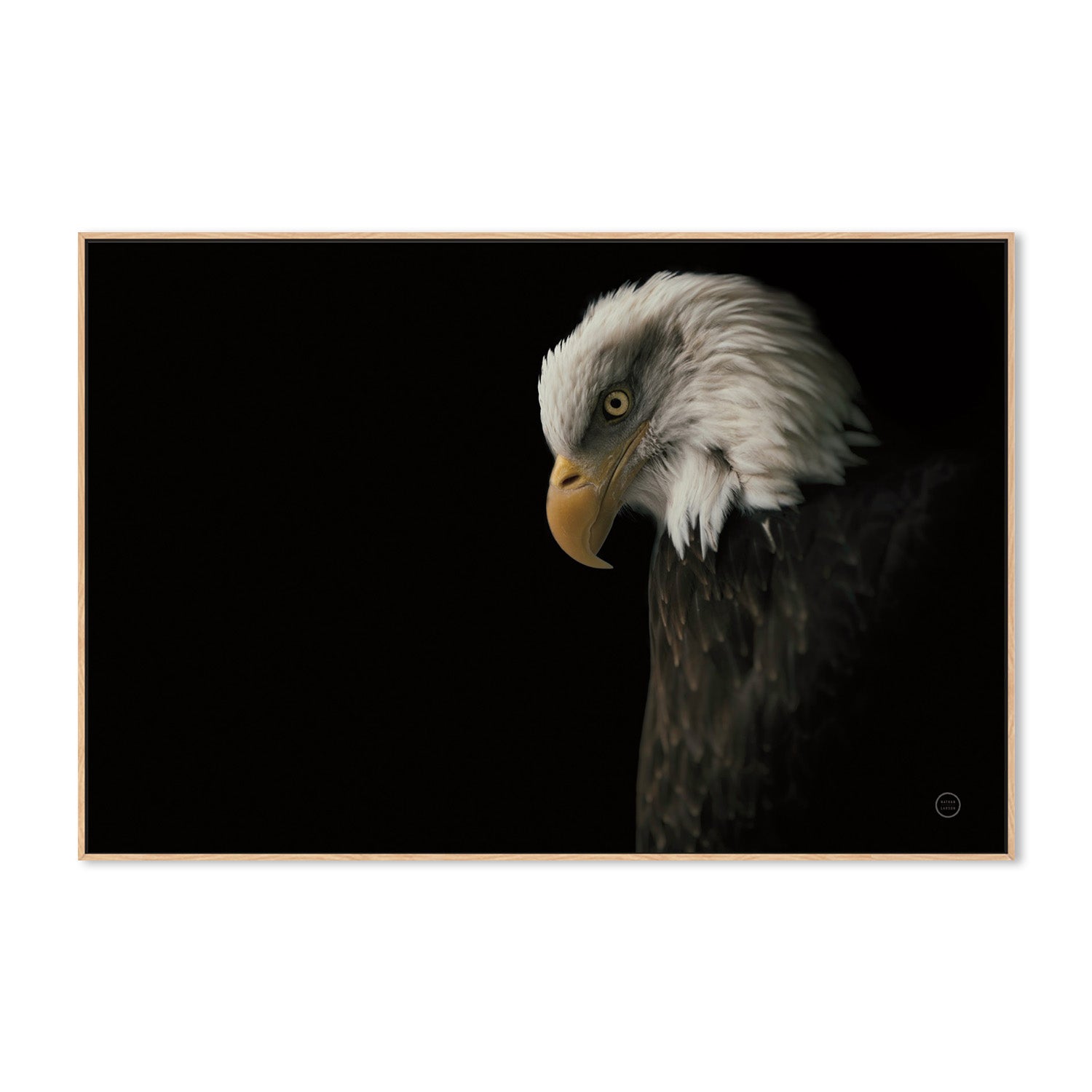 wall-art-print-canvas-poster-framed-Eagle Bow-4