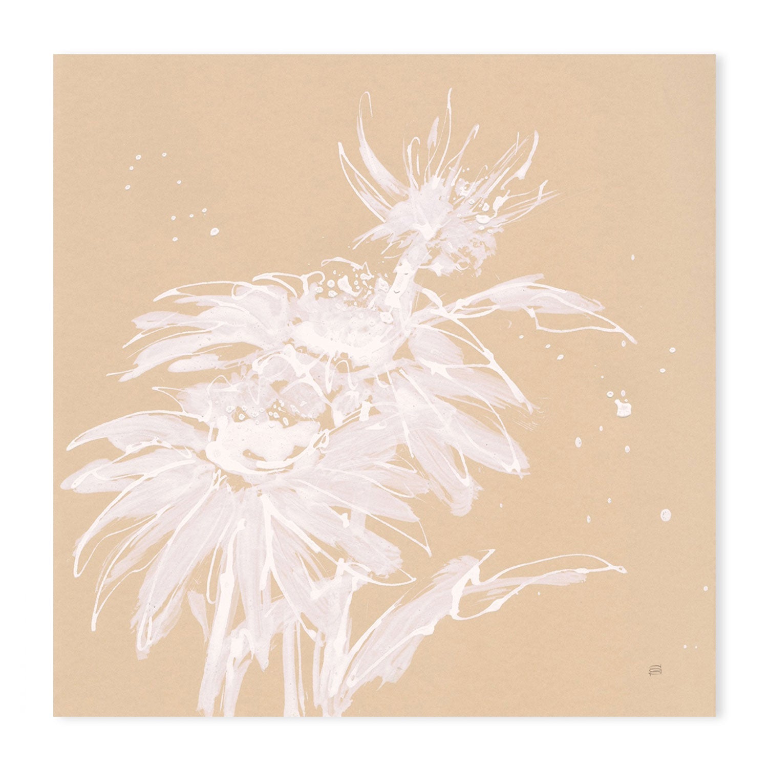 wall-art-print-canvas-poster-framed-Echinacea, Style A-by-Chris Paschke-Gioia Wall Art