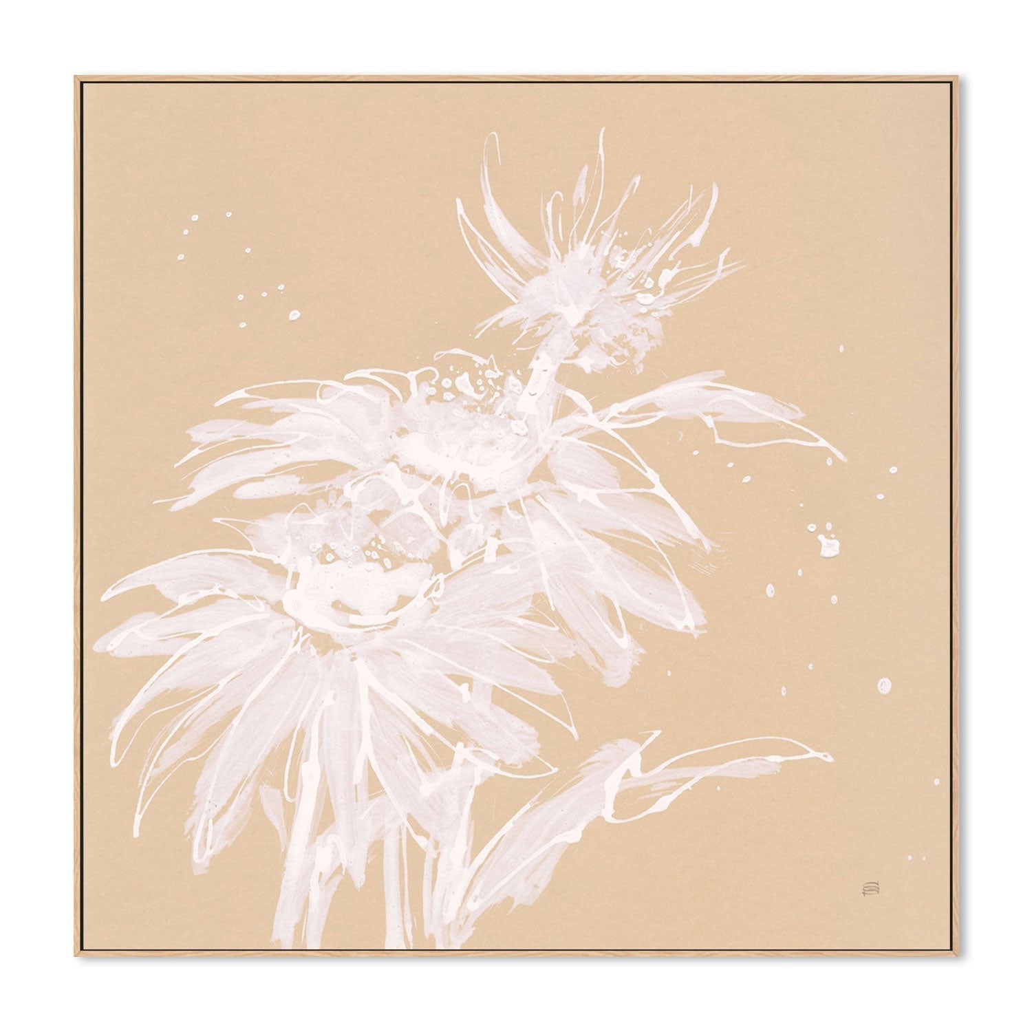 wall-art-print-canvas-poster-framed-Echinacea, Style A-by-Chris Paschke-Gioia Wall Art