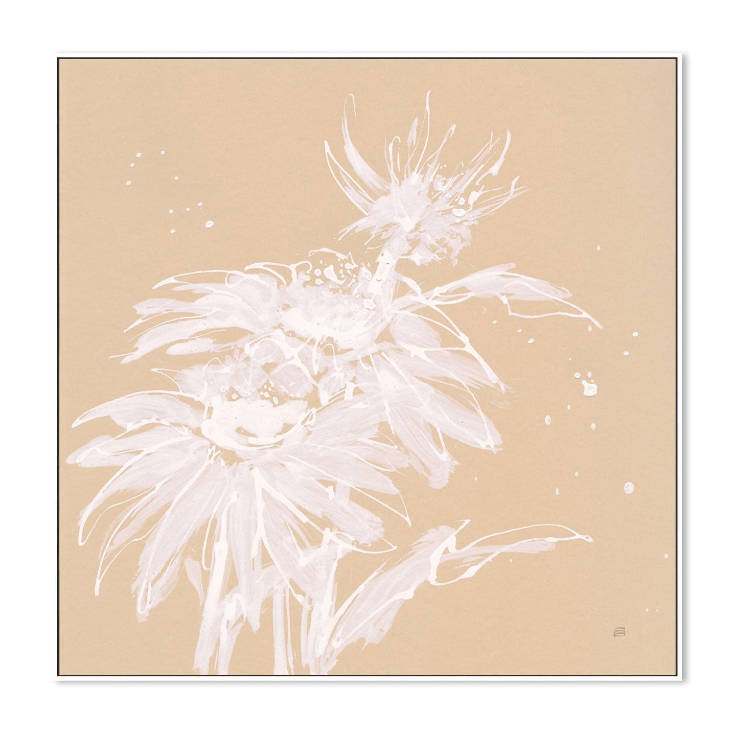 wall-art-print-canvas-poster-framed-Echinacea, Style A-by-Chris Paschke-Gioia Wall Art